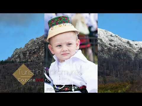 Ocna Sugatag Maramures Pensiuni, Cazare Oncesti, Hotel Cerbul Maramures