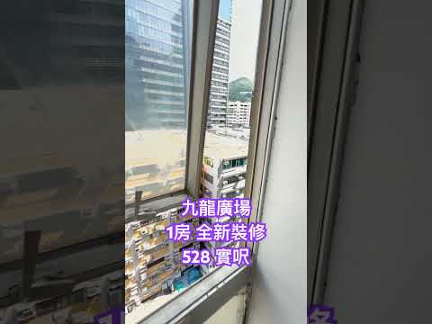 Kowloon Plaza Youtube Video