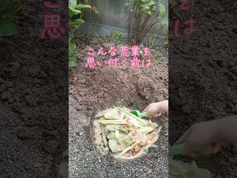 アパートでも堆肥を作ることはできますか？バルコニーコンポストを成功させるために知っておくべきことすべて!  庭園