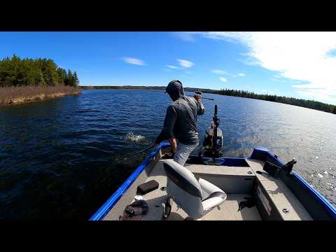 Lake Trout mission turned, Stocked Trout Mission