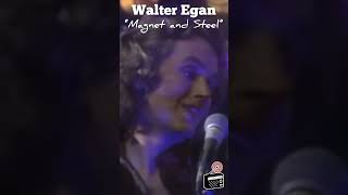 Walter Egan "Magnet and Steel"