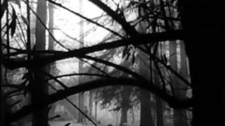 The Sweet Sound of Death     La  Llamada