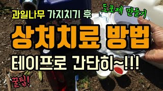 과일나무 전지전정 상처치료방법 꿀팁 은박테이프를 이용한 간단한 방법 천연도포제만들기