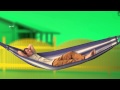 Bangla Hot Jatra Song Gorom Masala