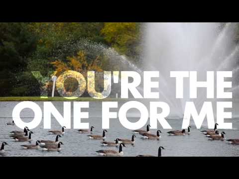 Great Good Fine Ok - You're The One For Me (Lyric Video)