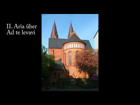 Sieben improvisationen über Adventsthemen