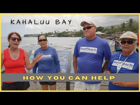 , title : 'How to help Kahalu'u Bay- Learn about Coral Spawning And How YOUR sunscreen has an effect'