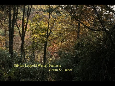 Silvius Leopold Weiss  :  Fantasie
