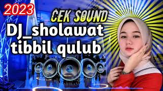 Download lagu Dj_sholawat tibbil qulub terbaru 2023 - Bebas hak cipta/no copyright mp3