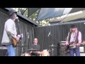 James McMurtry, Red Dress, Lagunitas Mini, 6-17 ...