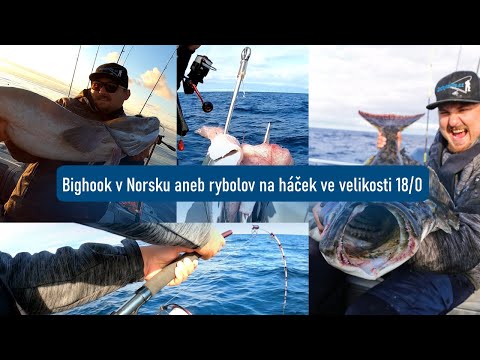 Bighook v Norsku aneb rybolov na háček ve velikosti 18/0