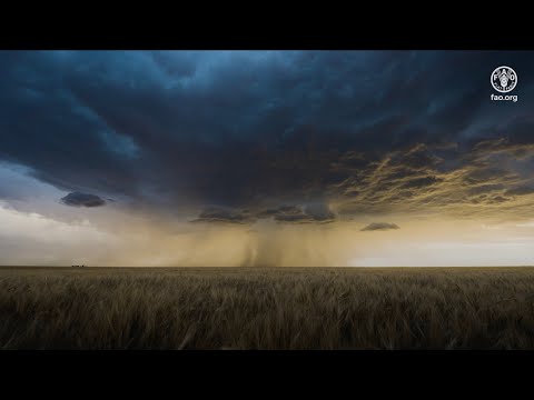 The Impact of Disasters on Agriculture and Food Security 2025