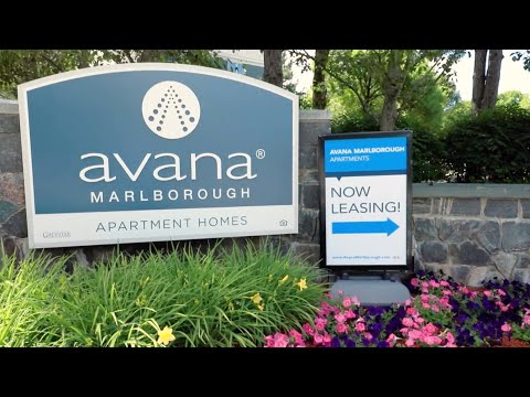 Avana Marlborough | Marlborough MA Apartments | Greystar