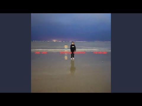 CR0C GANG (feat. Aunty)