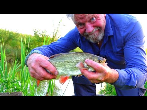 CJ catching Chub with bread flake.