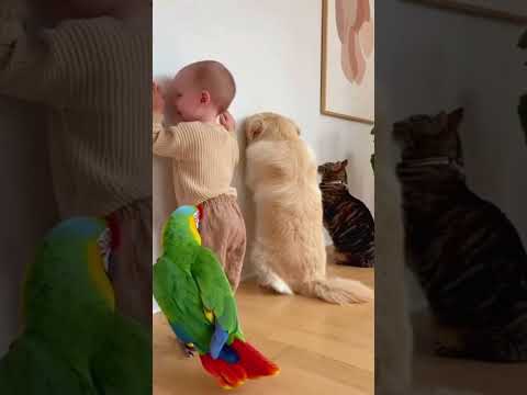 #pov#youtobe#fyp#foryou#foryoupage#funny