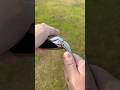 This ALL-IN-ONE Club can Play ANY Shot #golf #golfshot #golfswing
