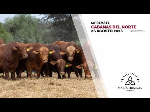 4 MARIA TRINIDAD TOROS COLORADOS   CABAÑAS DEL NORTE 2026