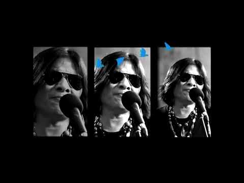 เพลง มองอย่างนก ของ มาลีฮวนน่า ใน YouTube