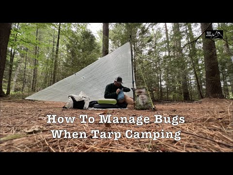 How I Deal With Bugs When I'm Camping With A Tarp
