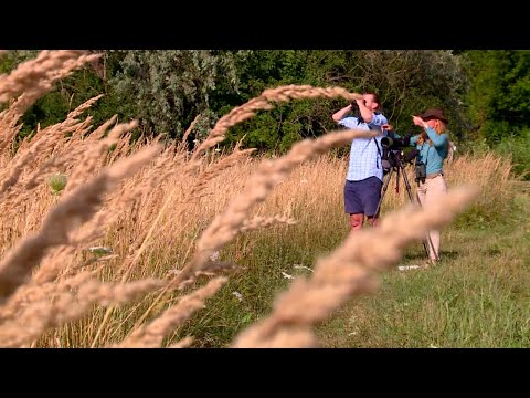 Mit lehet csinálni Sopron, Hegykő és a Fertő tó körül?