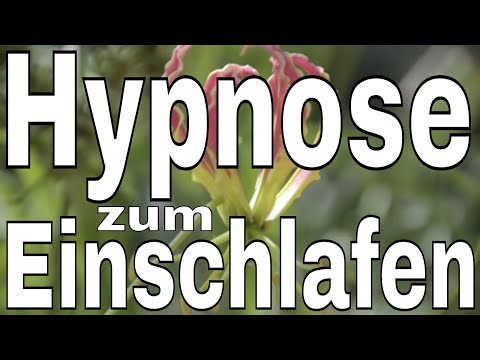 Prostate Symptome von Herzinfarkt Kloster Rezept Behandlung von Prostatitis