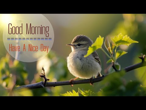 THE BEST MORNING MUSIC - Wake Up With Hope And Happin - Soft Morning Meditation Music For Relaxation