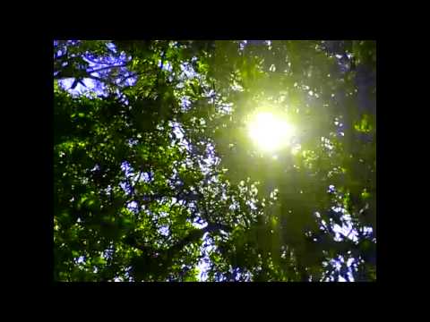 Vídeo: Proxecto NIMBOS