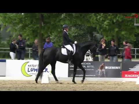 Fashion in Black NRW -  Dressurprfg KL M **