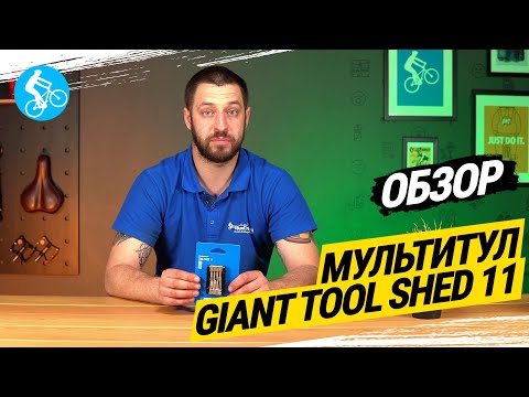 Toolshed 11