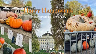 ［trip vlog］ドイツ暮らし｜ハロウィン｜かぼちゃ祭り🎃｜ルートヴィヒスブルク城 Eng