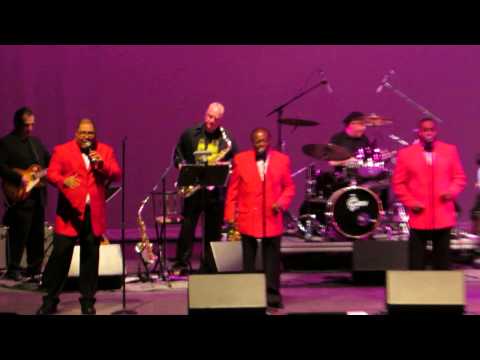 THE EL DORADOS-"MY LOVING BABY"-LIVE 2015