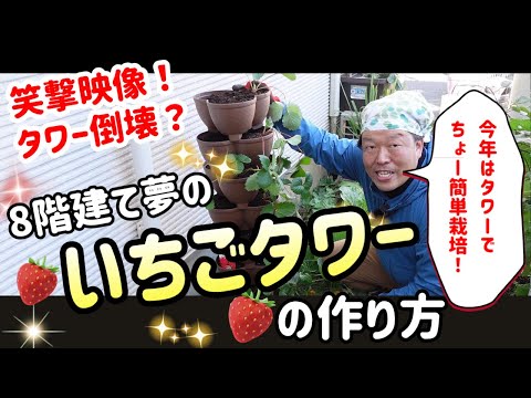 園芸 イチゴタワーの作り方は?