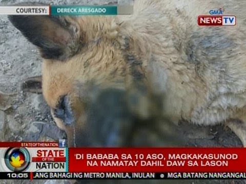 Slimming Massager bili. Ukraina Kung paano mawalan ng timbang sa 2 linggo sa pamamagitan ng 15 kg sa tahanan para sa mga bata