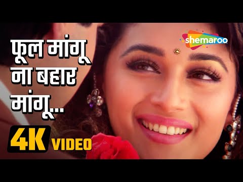 Phool Mangu Na Bahar Mangu — watch video