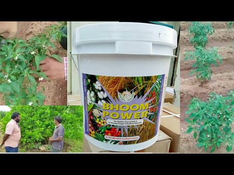 Bhoom power bio fertilizer, pack type: paper bag