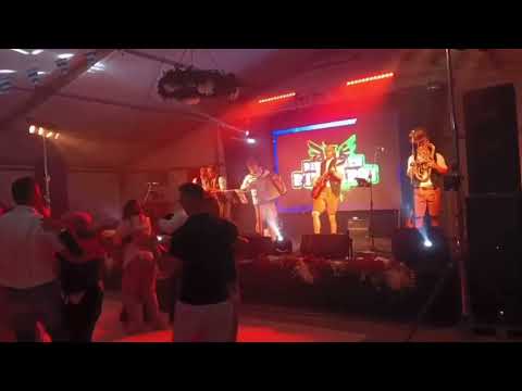 Grazer Jubiläumspolka (Grazer Spatzen) - Die Jungen D’Incjaroi