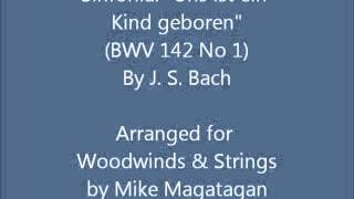 Sinfonia: "Uns ist ein Kind geboren" (BWV 142 No 1) for Woodwinds & Strings
