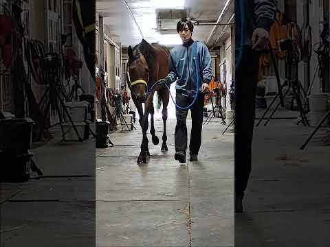 {{itemName}}_video_thumbnail