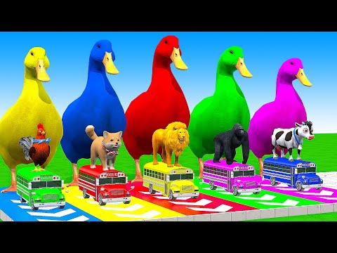 5 Giant Duck Cartoon,Cow,Elephant,Tiger,Lion,Gorilla, Paint Wild Animals Crossing Fountain Animation