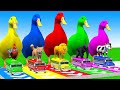 5 Giant Duck Cartoon Cow Elephant Tiger Lion Gorilla Paint Wild Animals Crossing Fountain Animation