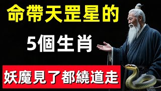 命帶天罡星的5個生肖，妖魔見了都繞道走！#修行思維 #修行 #福報 #禪 #道德經 #覺醒 #開悟 #禅修