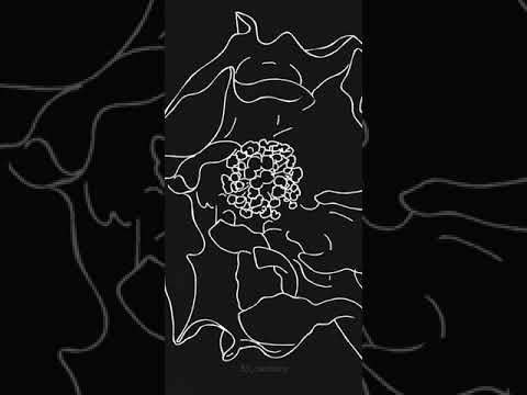 Trampoline #english whatsapp status