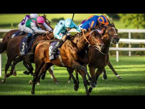 Godolphin Flying Start 1st Year Trainee Views, October 2016