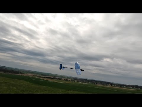 Veliš 🦅                            G.T.mini V3, H-King Raven 990 Mini DLG