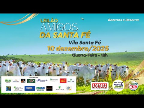 LEILÃO AMIGOS DA SANTA FÉ - VILA SANTA FÉ / PA