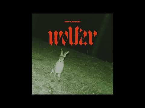 Wolfer - There Will Be Time (Official Audio)