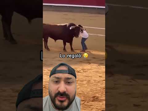 Ellos nunca te olvidan 😢#viralvideo