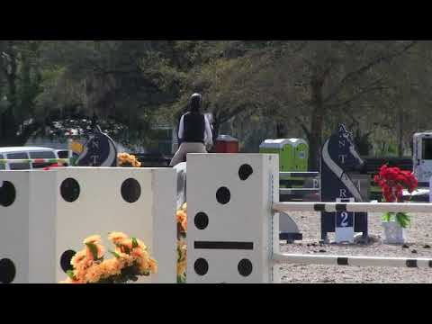 Video of Canoso ridden by Elizabeth Stroh from ShowNet!