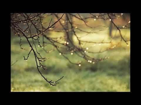 DirdyTwist - Petrichor